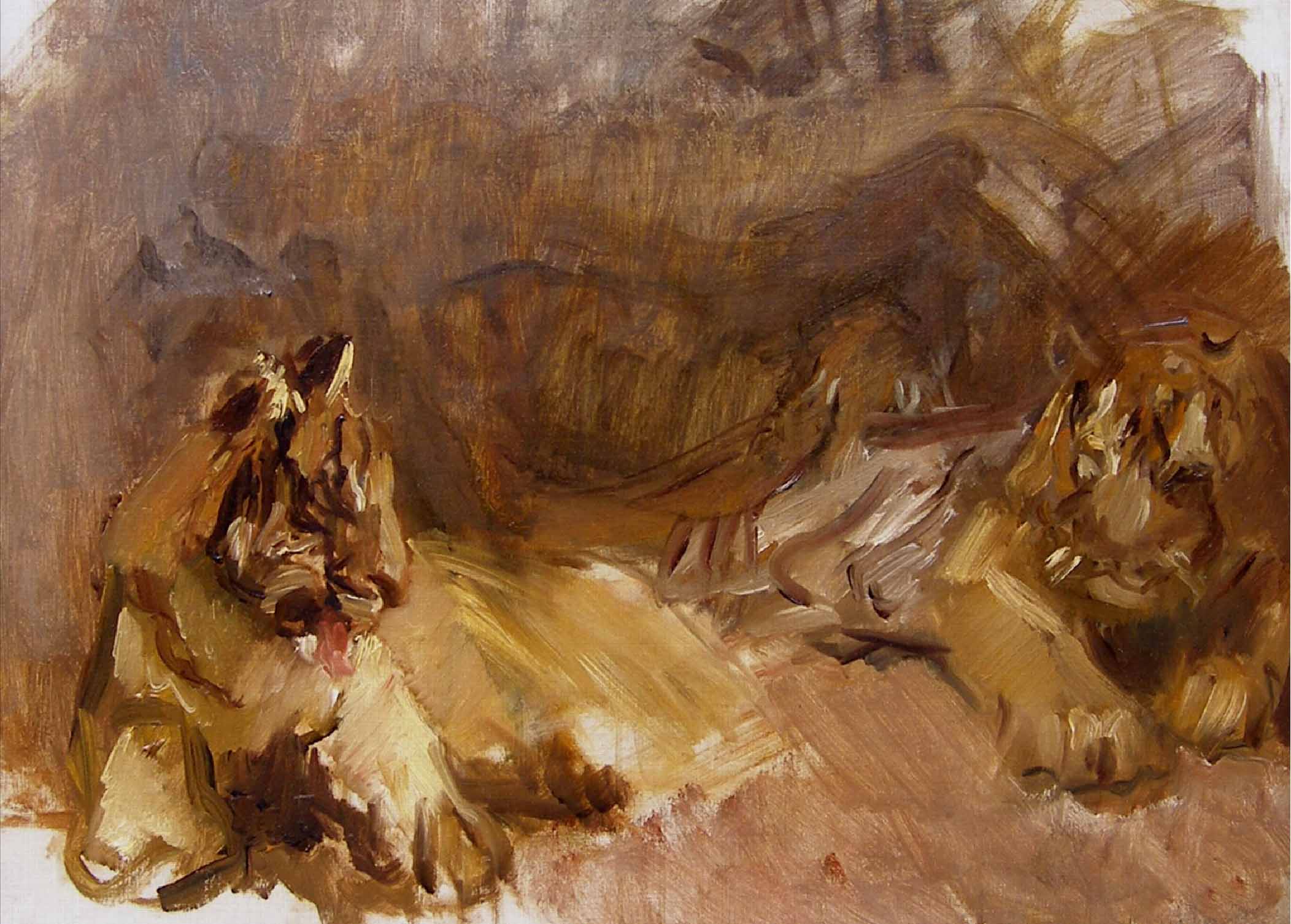 Study of Lions